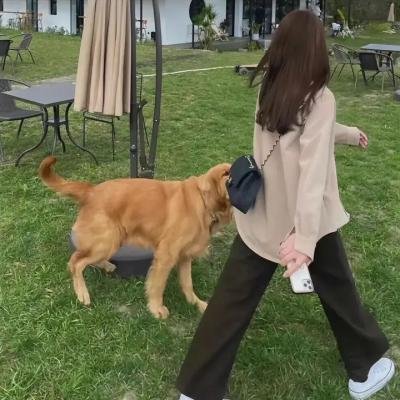 不见不散